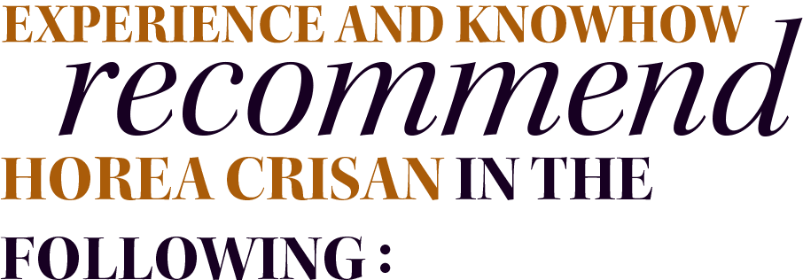Experience and knowhow recommend Horea Crisan in the following: